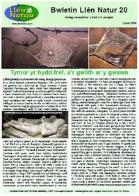 Cylchgrawn 20