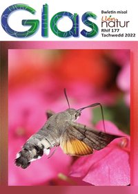 Glas 177