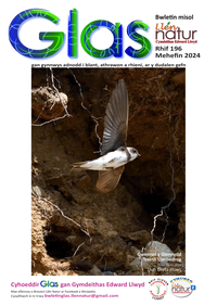 Glas-196 cover