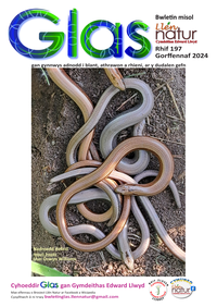 Glas-197 cover