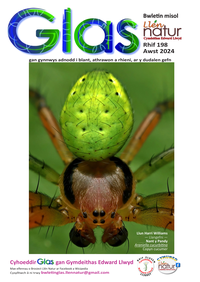 Glas-198 cover