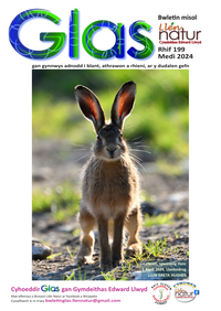 Glas-199 cover