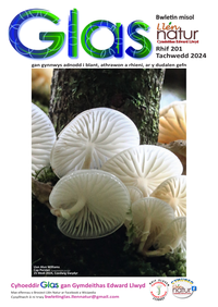 Glas-201 cover