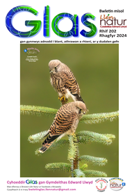 Glas-202 cover