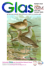 Glas-203 cover