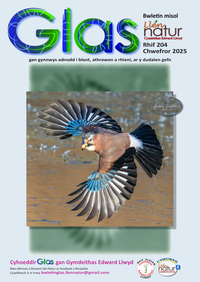 Glas-204 cover