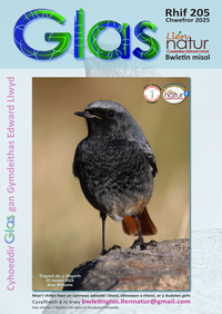 Glas-205 cover