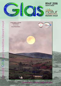 Glas-206 cover