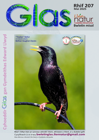 Glas-207 cover