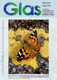 Glas-211 cover