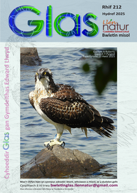Glas-212 cover