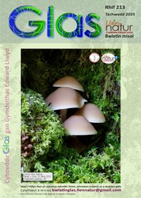 Glas-213 cover