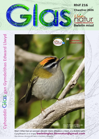Glas-216 cover