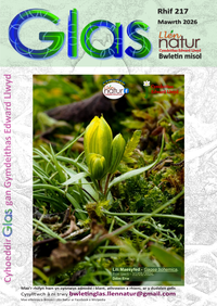 Glas-217 cover
