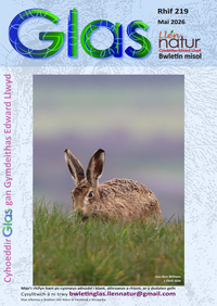 Glas-219 cover