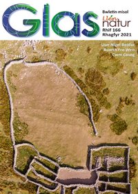 Cylchgrawn 166
